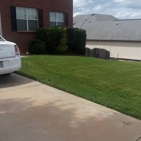 Bush Trimming by Perfect lawn reviewed on August 17, 2025