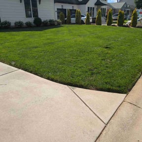 yard care by American  lawn care reviewed on September 29, 2023