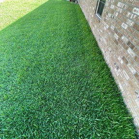grass maintenance by K&amp;T Landscape reviewed on April 5, 2024