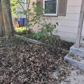 Leaf Removal by OnDutyRestoration reviewed on May 31, 2026