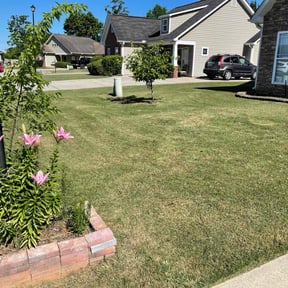 gardening service by Fairfax Lawn Maintenance reviewed on March 15, 2025