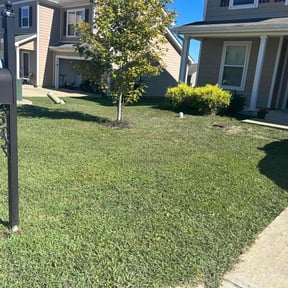 turf maintenance by First Choice Lawn & Landscape reviewed on July 22, 2025