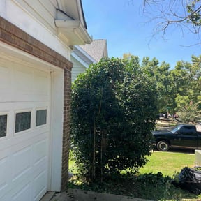 Bush Trimming by Mos Landscaping Service reviewed on October 19, 2025