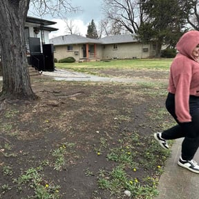 Leaf Removal by Pristine touch/landscaping reviewed on September 9, 2025