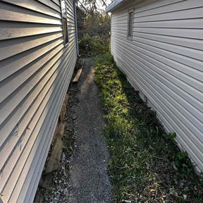 Bush Trimming by Prime Edge Landscaping LLC reviewed on September 1, 2026