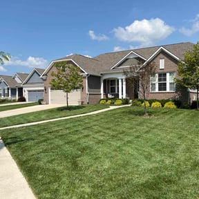 turf care by McIntire Services reviewed on August 18, 2025