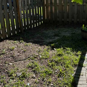 Flower Bed Weeding by 253 lawn Services reviewed on June 4, 2026
