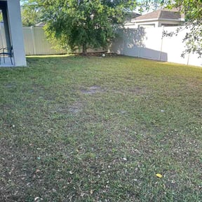 Leaf Removal by Witmer's Moving and More reviewed on May 28, 2026