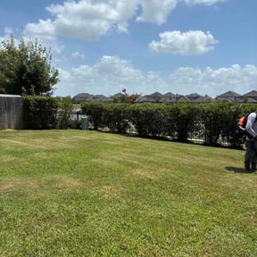 Bush Trimming by Lambs lawncare llc reviewed on July 2, 2026