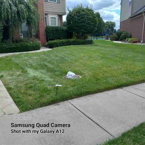 yard maintenance by CB lawn maintenance reviewed on May 20, 2025
