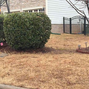 Bush Trimming by Weston Ward reviewed on March 2, 2026