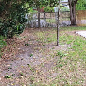 Bush Trimming by MVP Lawn & Landscaping reviewed on August 13, 2025