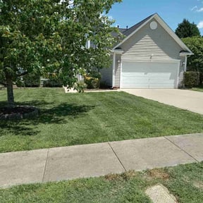 landscaping by Helping Hands Lawncare Service reviewed on August 15, 2025