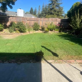 gardening service by Lopez Personal Construction and Lawn Service's reviewed on August 15, 2025