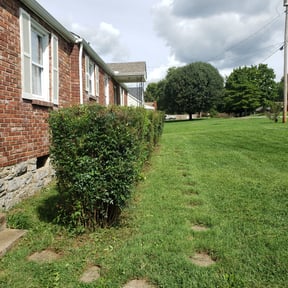 Bush Trimming by St Charles Services reviewed on August 15, 2025