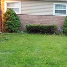 Bush Trimming by Land recovery solutions reviewed on August 21, 2025