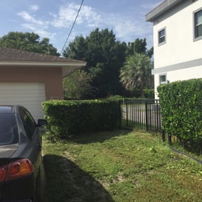 Bush Trimming by National preservation and REO services reviewed on August 17, 2025
