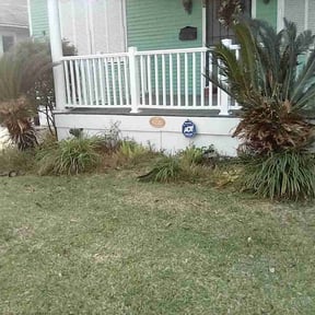 Flower Bed Weeding by Manny Soriano reviewed on June 9, 2025