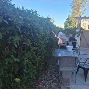 Bush Trimming by T&amp;T Service&#039;s reviewed on November 9, 2025