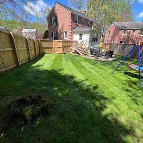 yard care by American Dream Lawn and Services reviewed on November 21, 2025