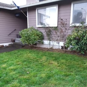 Flower Bed Weeding by Sharpy Yard Care Service reviewed on August 16, 2025