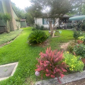 landscaping services by Mattox lawn service reviewed on November 21, 2025