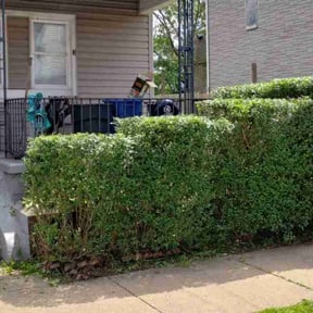 Bush Trimming by J&S Landscaping reviewed on August 17, 2025