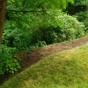 Bush Trimming by Towery's Lawn Care reviewed on August 16, 2025