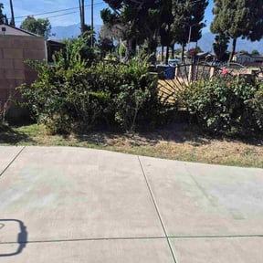 Bush Trimming by Lawn pestano reviewed on July 20, 2026
