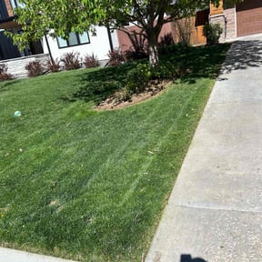 landscaping by SRC Lawn Care reviewed on November 3, 2021