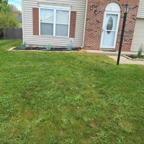 Flower Bed Weeding by House of details ink reviewed on August 18, 2025