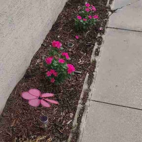 Flower Bed Weeding by MK Lawncare LLC reviewed on July 5, 2026