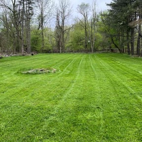 yard service by Tony's lawn services/Plowing reviewed on August 21, 2025