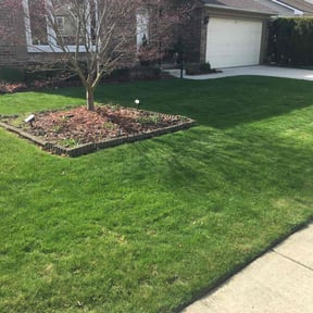 yard maintenance by jadeandarmani reviewed on July 24, 2025