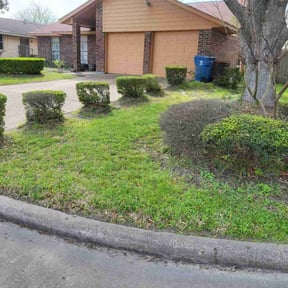 Bush Trimming by Stay Fresh Lawn Services & Landscape Design reviewed on August 20, 2025
