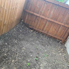 Leaf Removal by Veteran Roots reviewed on October 1, 2025