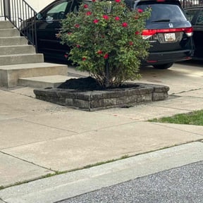 Mulching by Manicured Lawns reviewed on August 21, 2025
