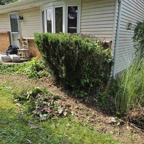 Bush Trimming by Big Rocks Landscaping & Demolition reviewed on August 15, 2025