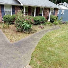 Flower Bed Weeding by Vexs Lawncutters reviewed on November 10, 2025