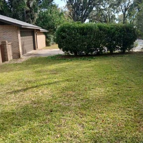 Bush Trimming by Inland Empire Yard Care and Junk Removal reviewed on November 24, 2025