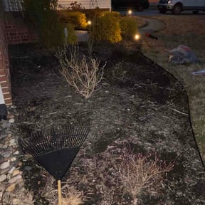 Flower Bed Weeding by Aces wild reviewed on March 2, 2026