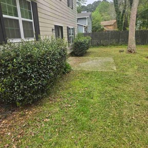 Bush Trimming by V&amp;M Landscaping reviewed on April 8, 2026