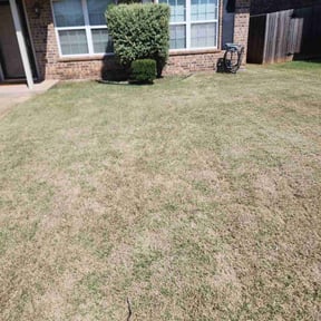 Bush Trimming by Greg's Landscaping reviewed on August 19, 2025
