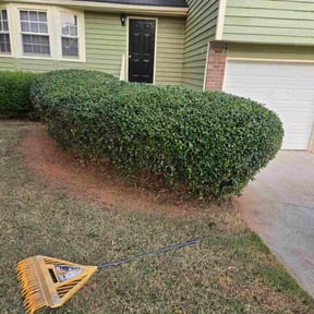 lawn care services by Real Touch Services LLC reviewed on August 10, 2024