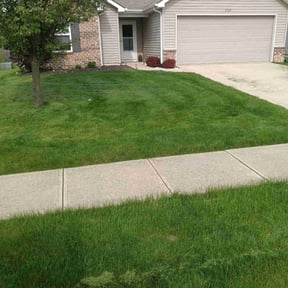 landscape maintenance by Good Guys Lawn and Fence reviewed on August 21, 2025