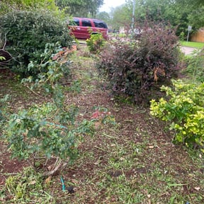 Flower Bed Weeding by Mila Boza reviewed on July 28, 2021