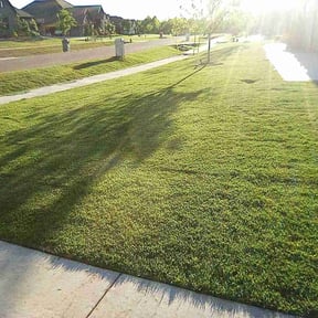 landscape maintenance by T.R. Integrated Services reviewed on August 16, 2025