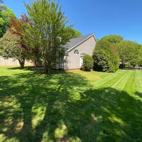 landscaping by Mendoza lawn services reviewed on August 15, 2025