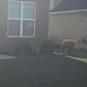 Bush Trimming by Four Daughter Mowing inc. reviewed on June 14, 2026
