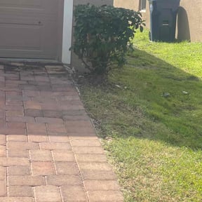 Bush Trimming by Big Nate&#039;s Lawn Care LLC reviewed on August 20, 2025